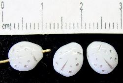 Glasperlen
 Käferchen
 weiß silber
 Vorder-und Rückseite geprägt