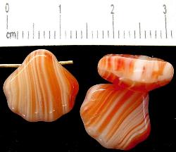 Glasperlen
 Muschelform orange